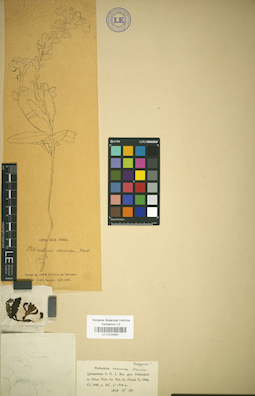 LE 01034681