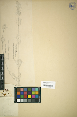 LE 01034685