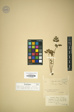 LE 01034686