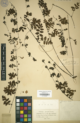 LE 01034687