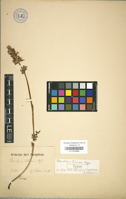 LE 01034689