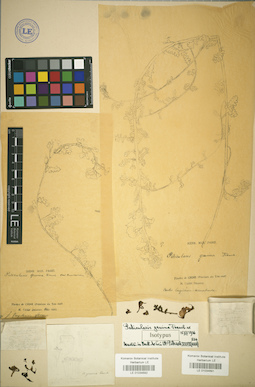 LE 01034691