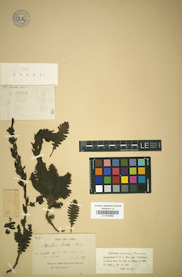 LE 01034698