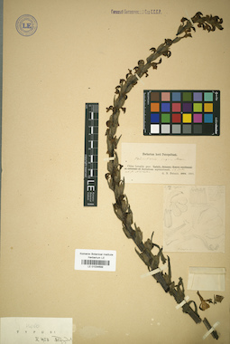 LE 01034699