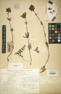 LE 01034700