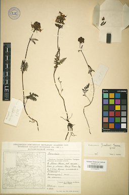 LE 01034701