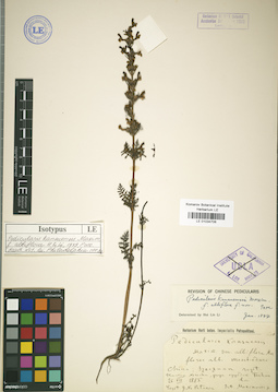 LE 01034706