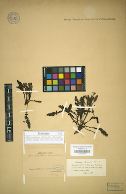 LE 01034715