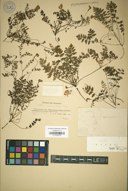 LE 01034719