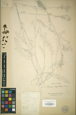 LE 01034720