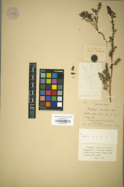 LE 01034722