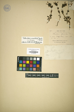 LE 01034723