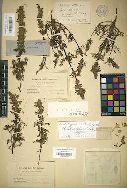 LE 01034725
