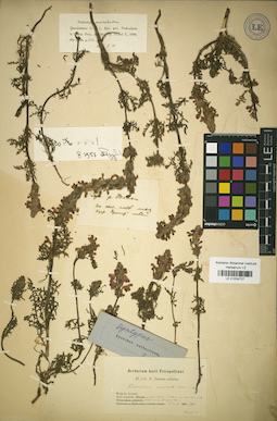 LE 01034727
