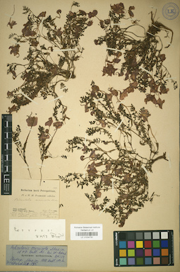 LE 01034730