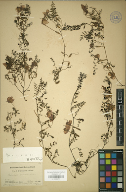 LE 01034731