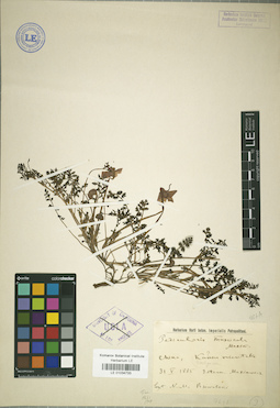 LE 01034733