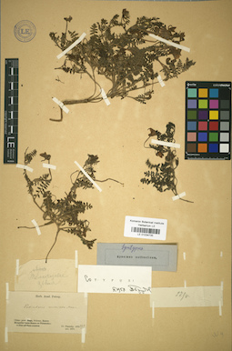 LE 01034735