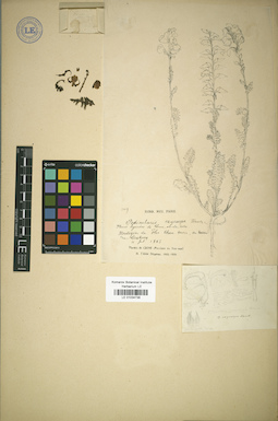 LE 01034738