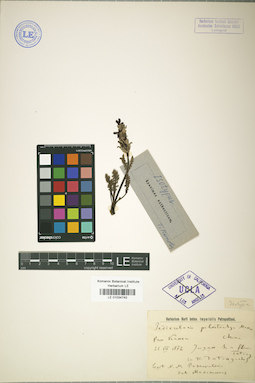LE 01034740