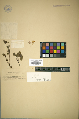 LE 01034746