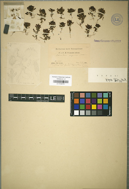 LE 01034751