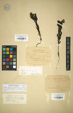 LE 01034755