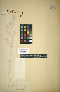 LE 01034758