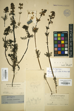 LE 01034759