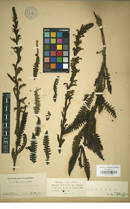 LE 01034762