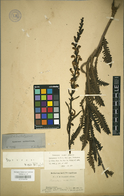 LE 01034763
