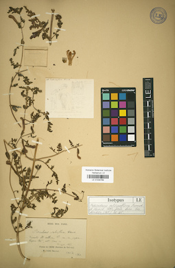 LE 01034769
