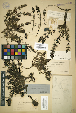 LE 01034770