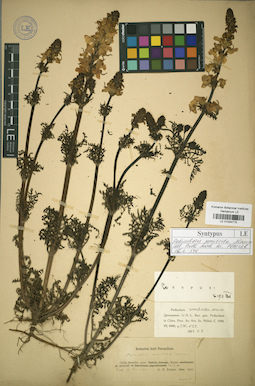 LE 01034775