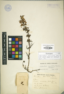 LE 01034776