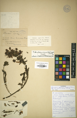 LE 01034777