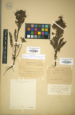 LE 01034779