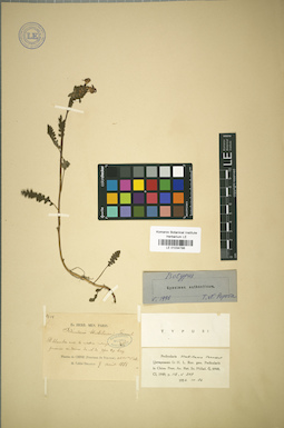 LE 01034786