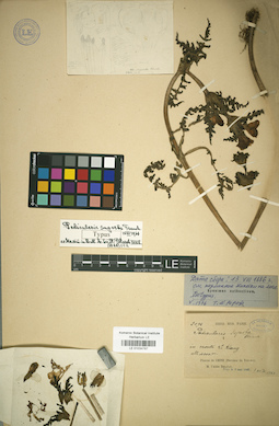 LE 01034787