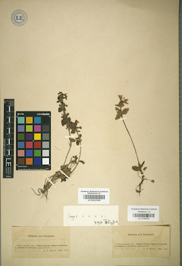 LE 01034791