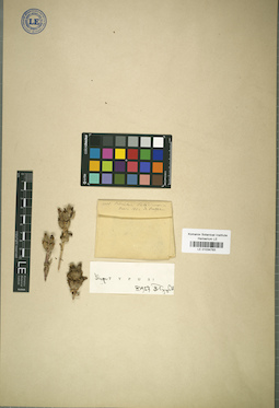 LE 01034793