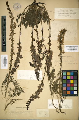 LE 01034799