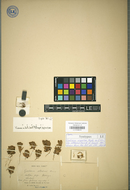LE 01036416