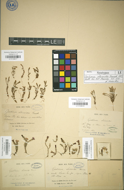 LE 01036418