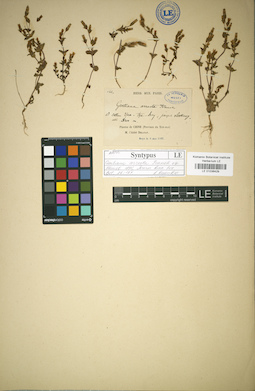 LE 01036429