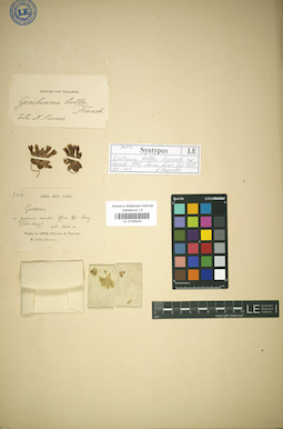 LE 01036430