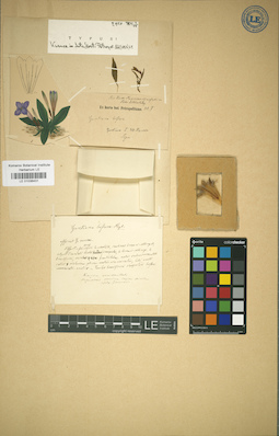 LE 01036431