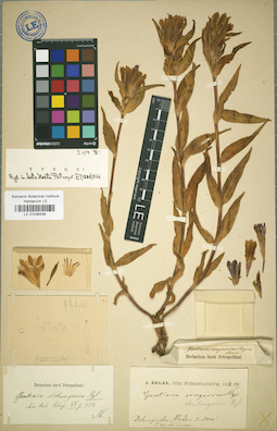 LE 01036436