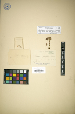 LE 01036437