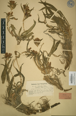 LE 01036442